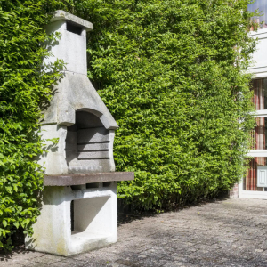 groede_buiten_06